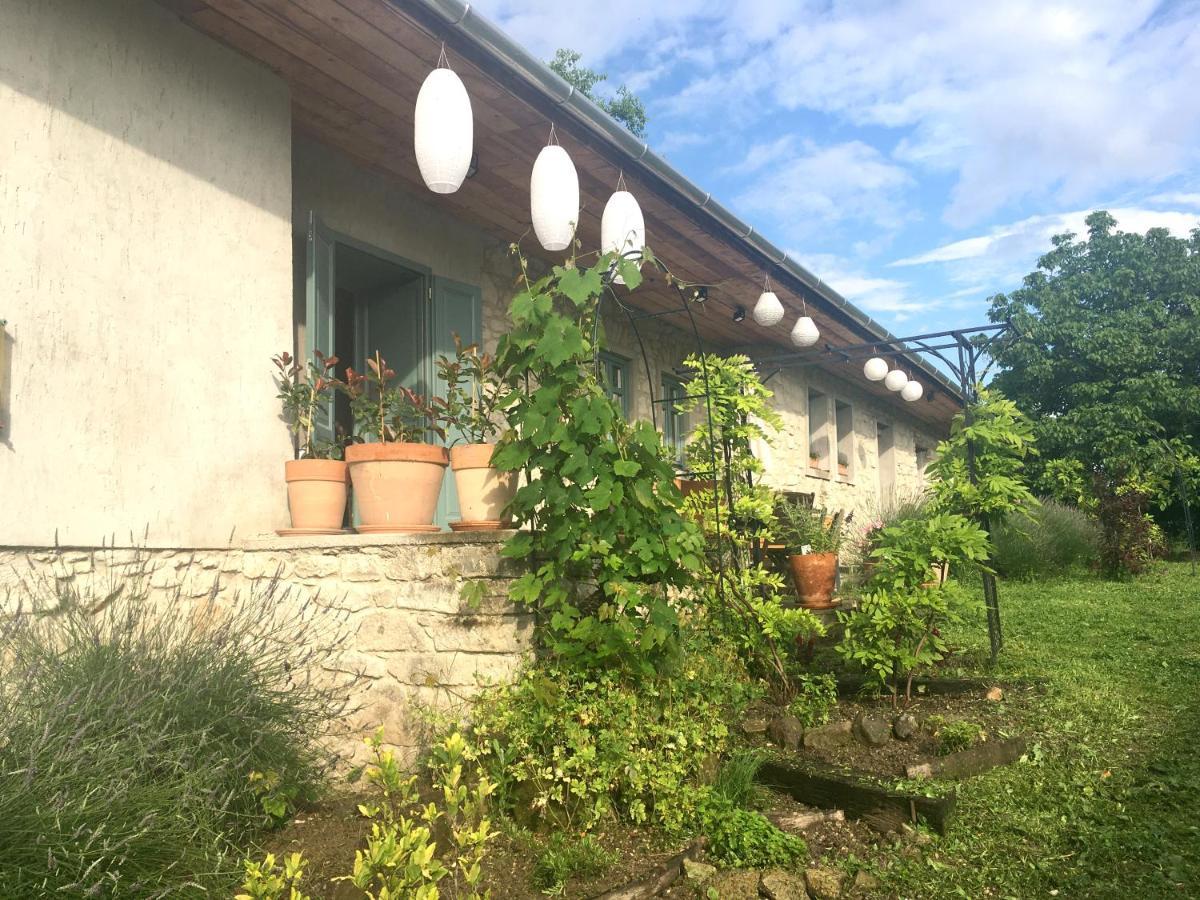 Hungry Grape Guests Hotel Erdőbénye Exterior foto