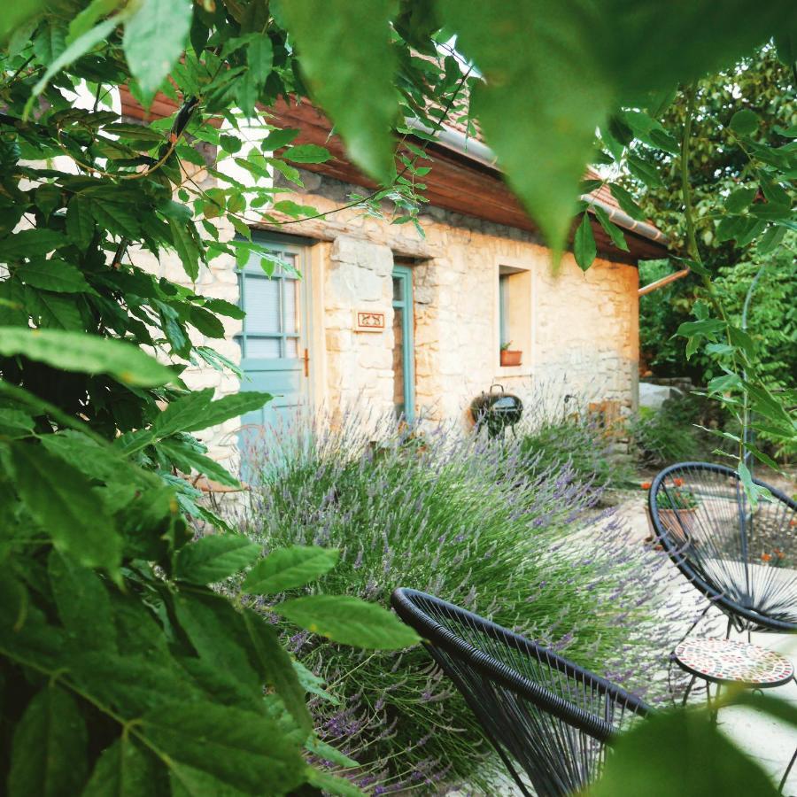 Hungry Grape Guests Hotel Erdőbénye Exterior foto
